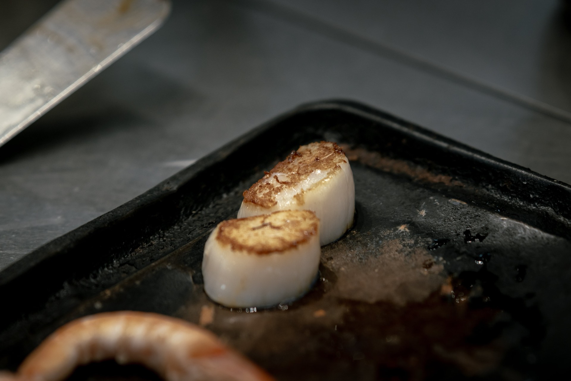 Seared scallops plated at Mason's